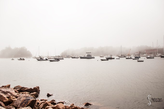 Maine, New Hampshire, Massachuttes:  September 2018: 9431