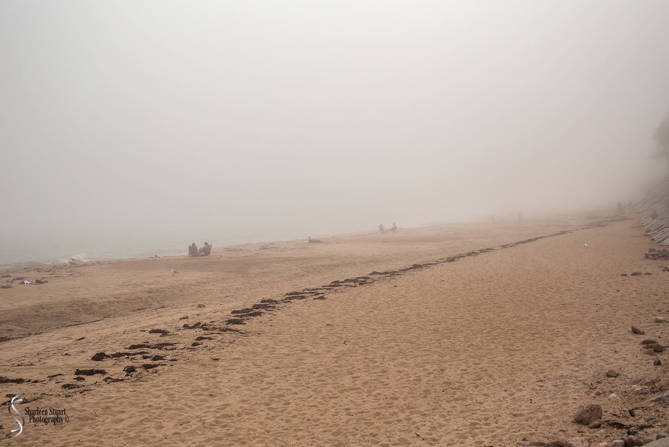 Maine, New Hampshire, Massachuttes:  September 2018: 9435