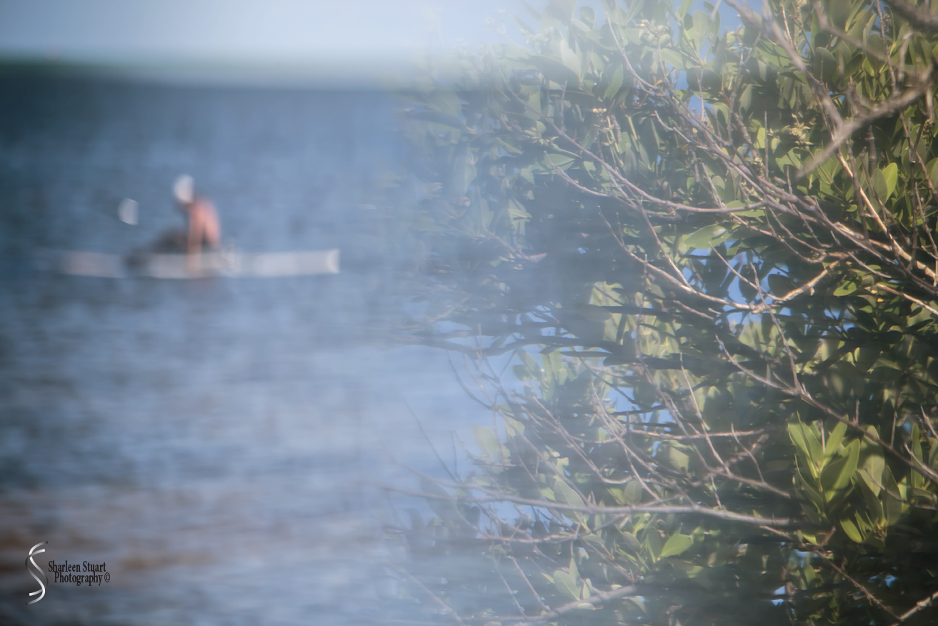 Marathon/Key West Vacation:  August 17-22, 2018: 8408