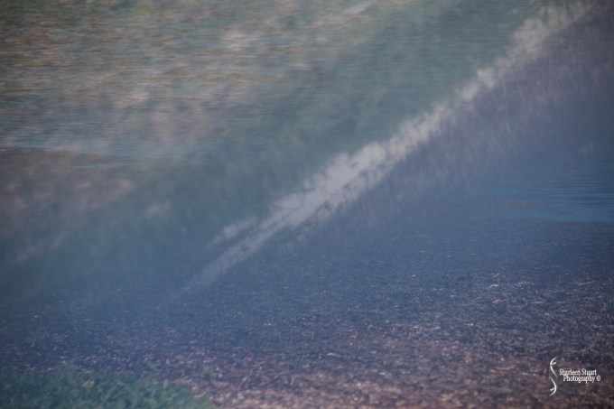 Marathon/Key West Vacation:  August 17-22, 2018: 8411