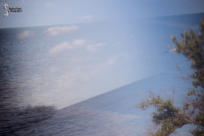 Marathon/Key West Vacation:  August 17-22, 2018:  8412