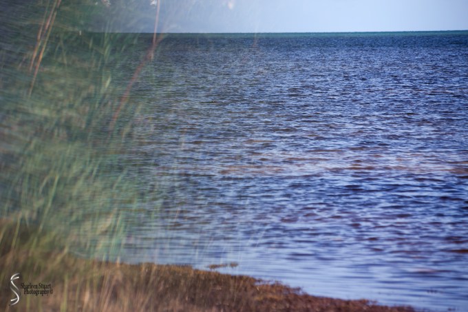 Marathon/Key West Vacation:  August 17-22, 2018: 8417