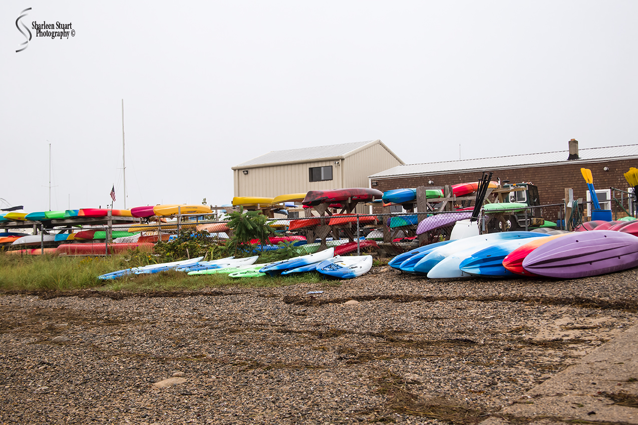 Maine, New Hampshire, Massachusetts:  September 2018: 9460