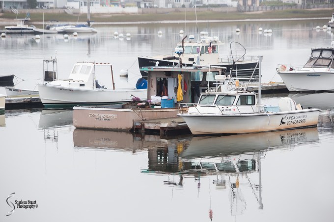 Maine, New Hampshire, Massachusetts:  September 2018: 9484
