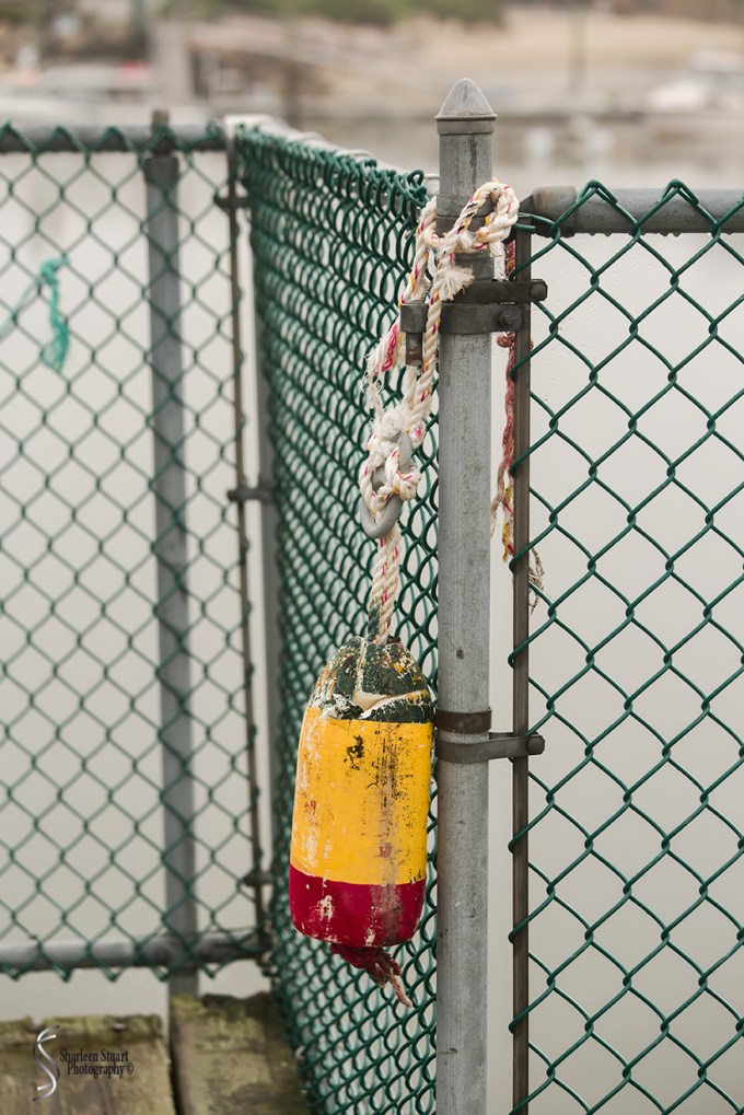 Maine, New Hampshire, Massachusetts:  September 2018: 9505