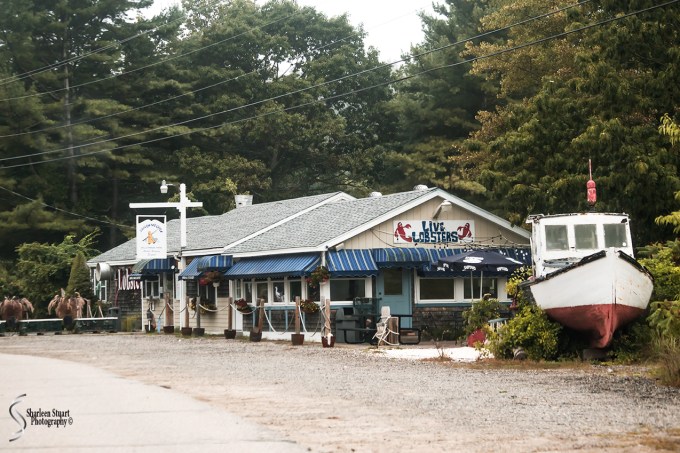 Maine, New Hampshire, Massachusetts:  September 2018: 9509
