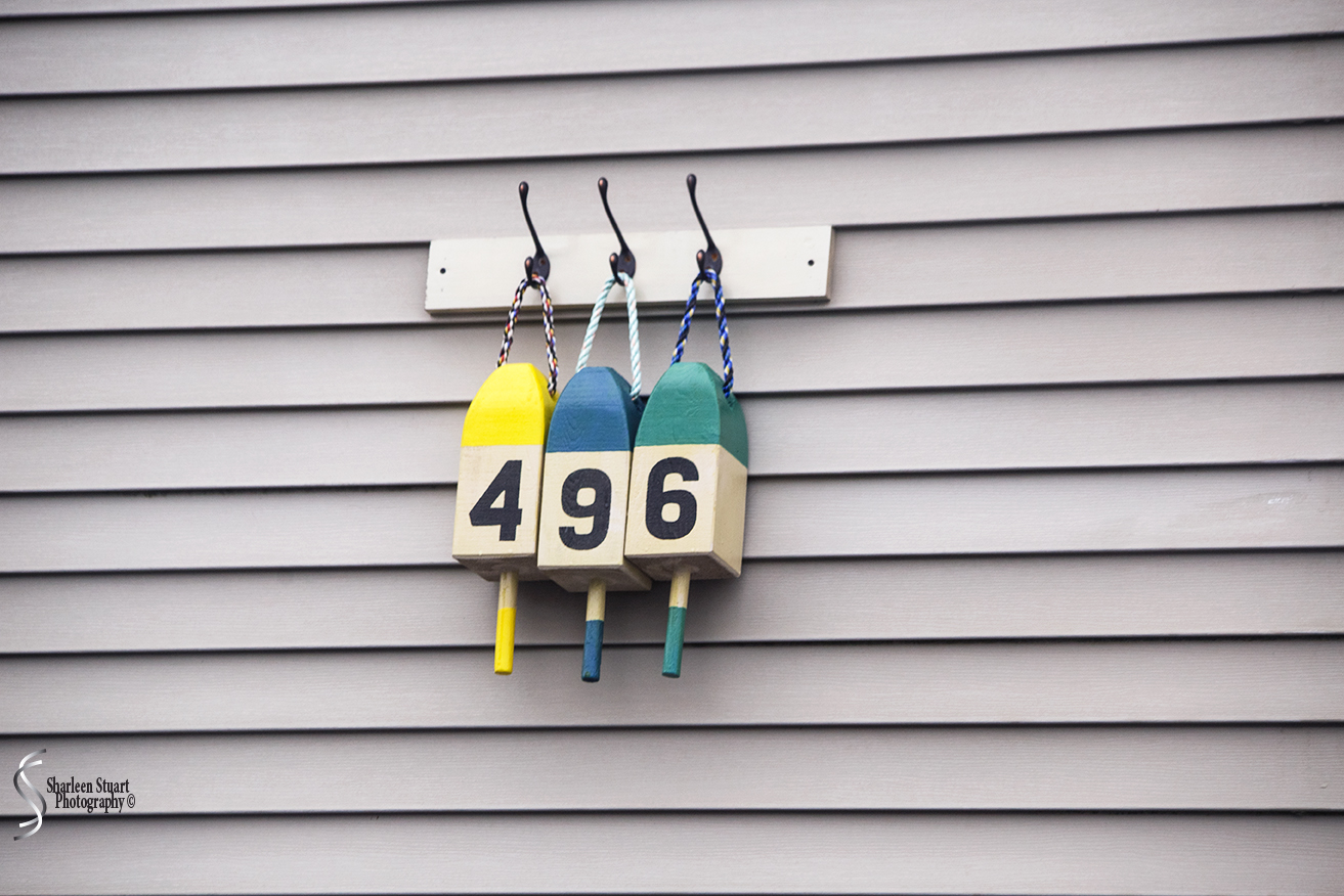 Maine, New Hampshire, Massachuttes:  September 2018: 9522