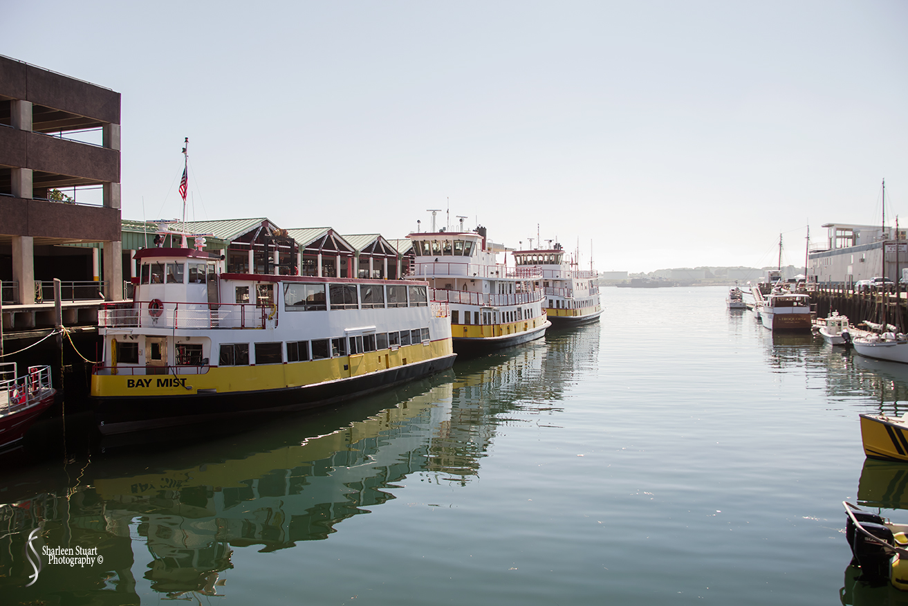 Maine, New Hampshire, Massachusetts:  September 2018: 9562