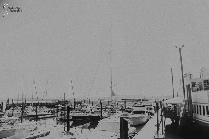 Maine, New Hampshire, Massachusetts:  September 2018: 9574