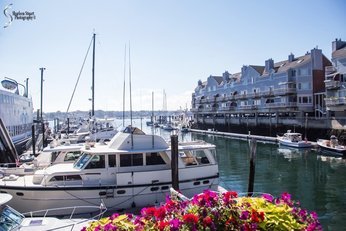 Maine, New Hampshire, Massachusetts:  September 2018: