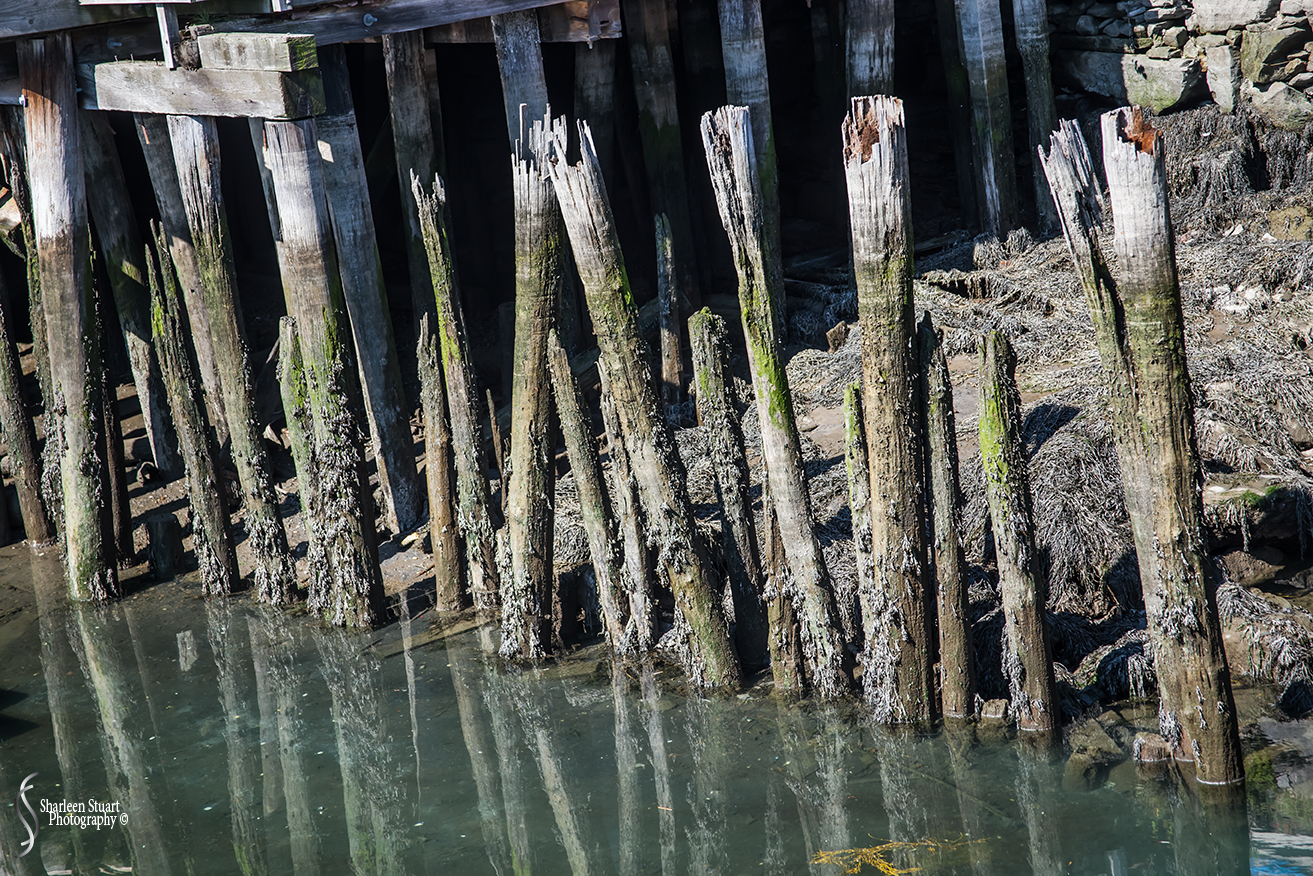 Maine, New Hampshire, Massachusetts:  September 2018: 9589