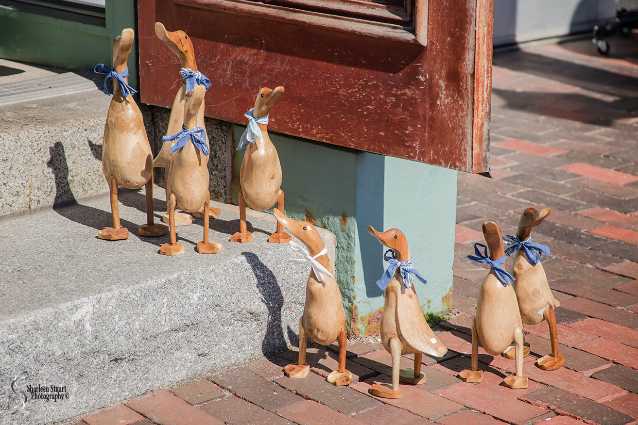 Maine, New Hampshire, Massachusetts:  September 2018: 9609