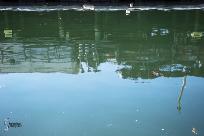 Maine, New Hampshire, Massachusetts: September 2018: 9629