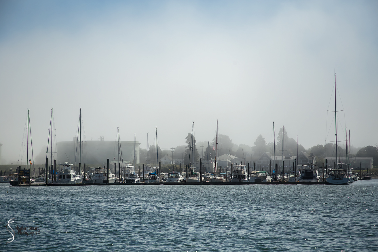 Maine, New Hampshire, Massachusetts:  September 2018: 9648