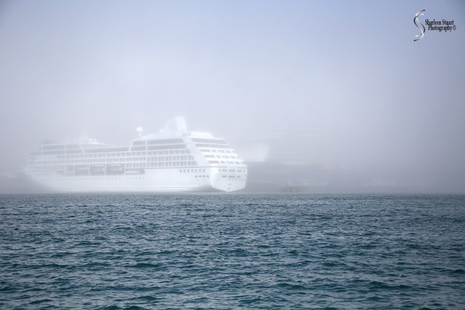 Maine, New Hampshire, Massachusetts: September 2018: 9654