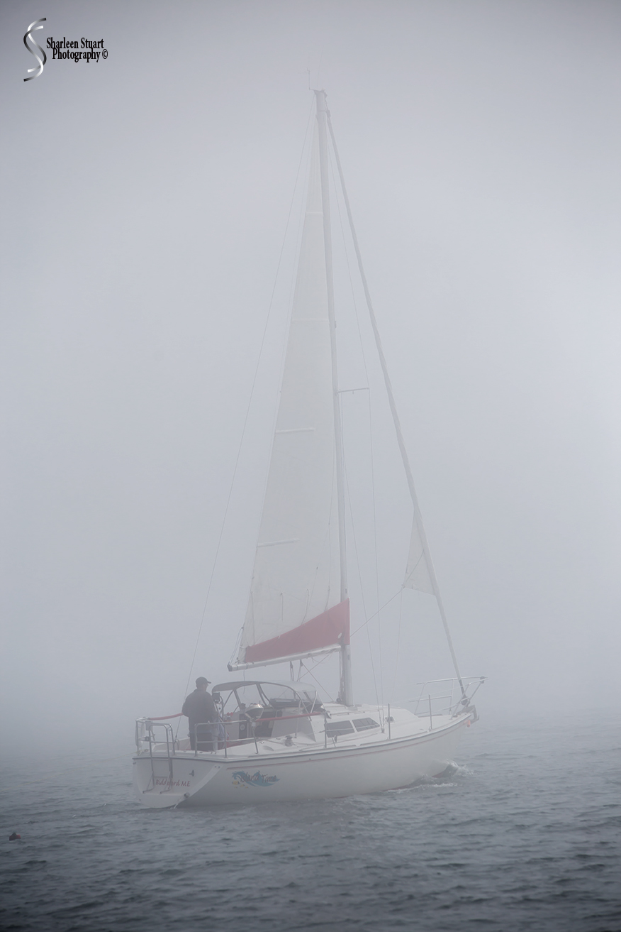 Maine, New Hampshire, Massachusetts:  September 2018: 9681