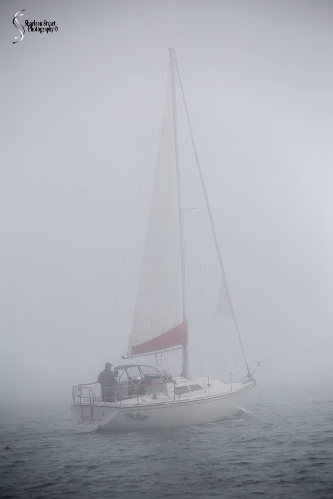 Maine, New Hampshire, Massachusetts: September 2018: 9681