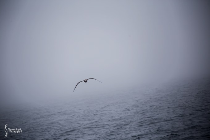 Maine, New Hampshire, Massachusetts: September 2018: 9752