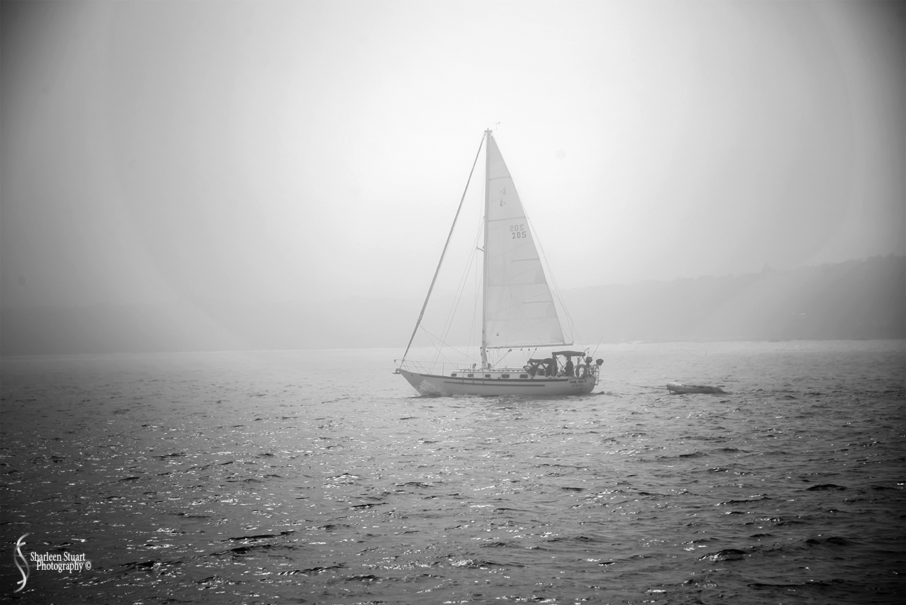 Maine, New Hampshire, Massachusetts:  September 2018: 9805