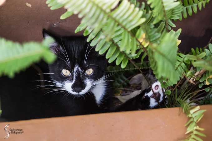 Snow &amp; Rory:  January 2019: 0541