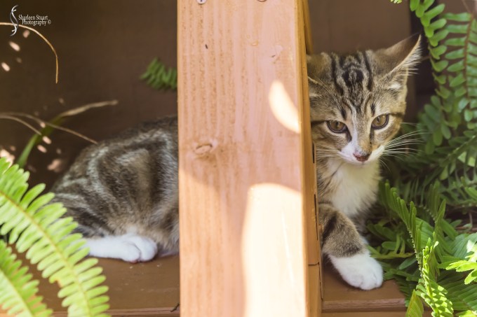 Snow &amp; Rory:  January 2019: 0551