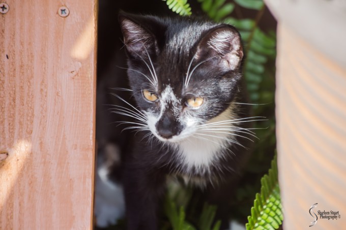 Snow &amp; Rory:  January 2019: 0567