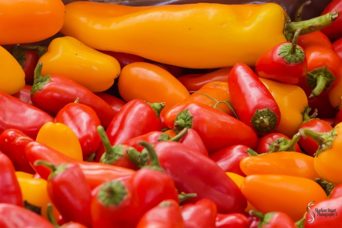 WPB Green/Flea Market:  January 19, 2018: 1167