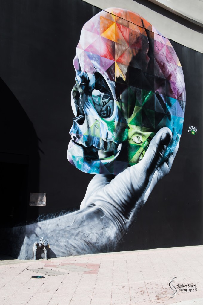 WPB Green/Flea Market:  January 19, 2018: