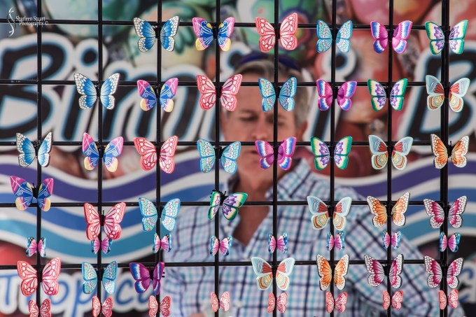 WPB Green/Flea Market:  January 19, 2018: 1173