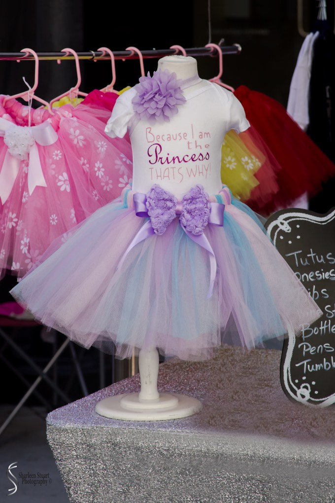 WPB Green/Flea Market:  January 19, 2018: 1177