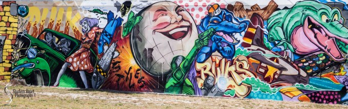 WPB Green/Flea Market:  January 19, 2018: 1183