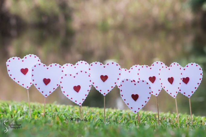 Paper Heart Project:  February2, 2019: 1266