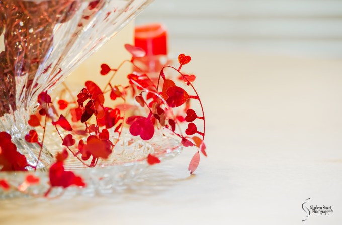 Red hearts: Jan 26, 2016: 3887