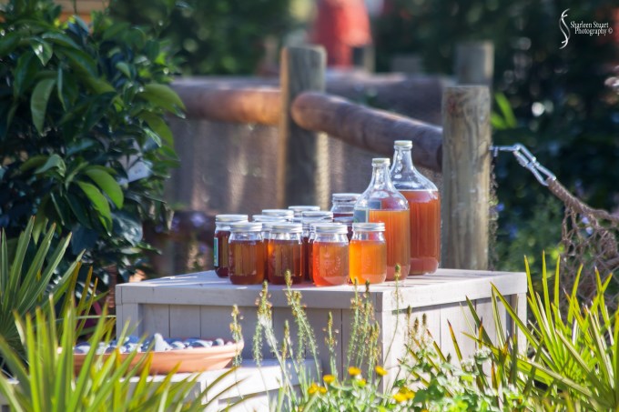 Epcot 2019:  March 8, 2019: 2919