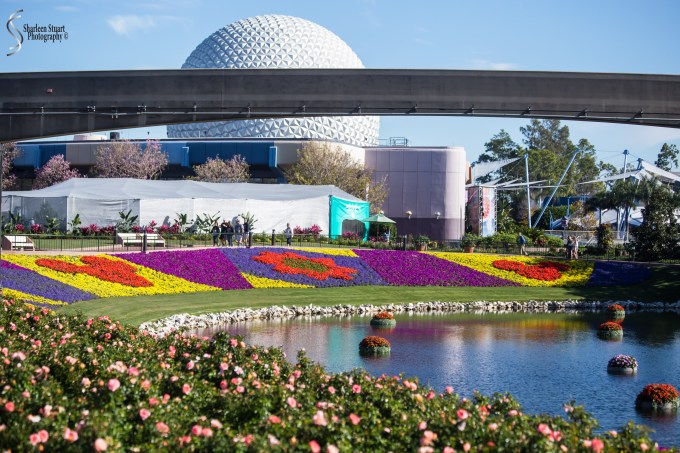 Epcot 2019:  March 8, 2019: 2921