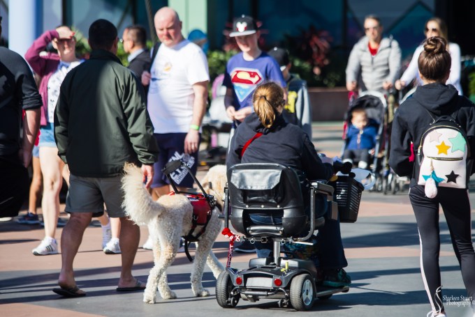 Epcot 2019:  March 8, 2019: 2935