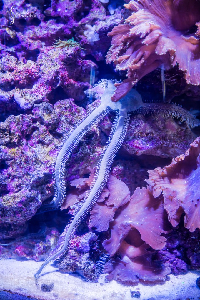 Epcot 2019:  March 8, 2019: 2982