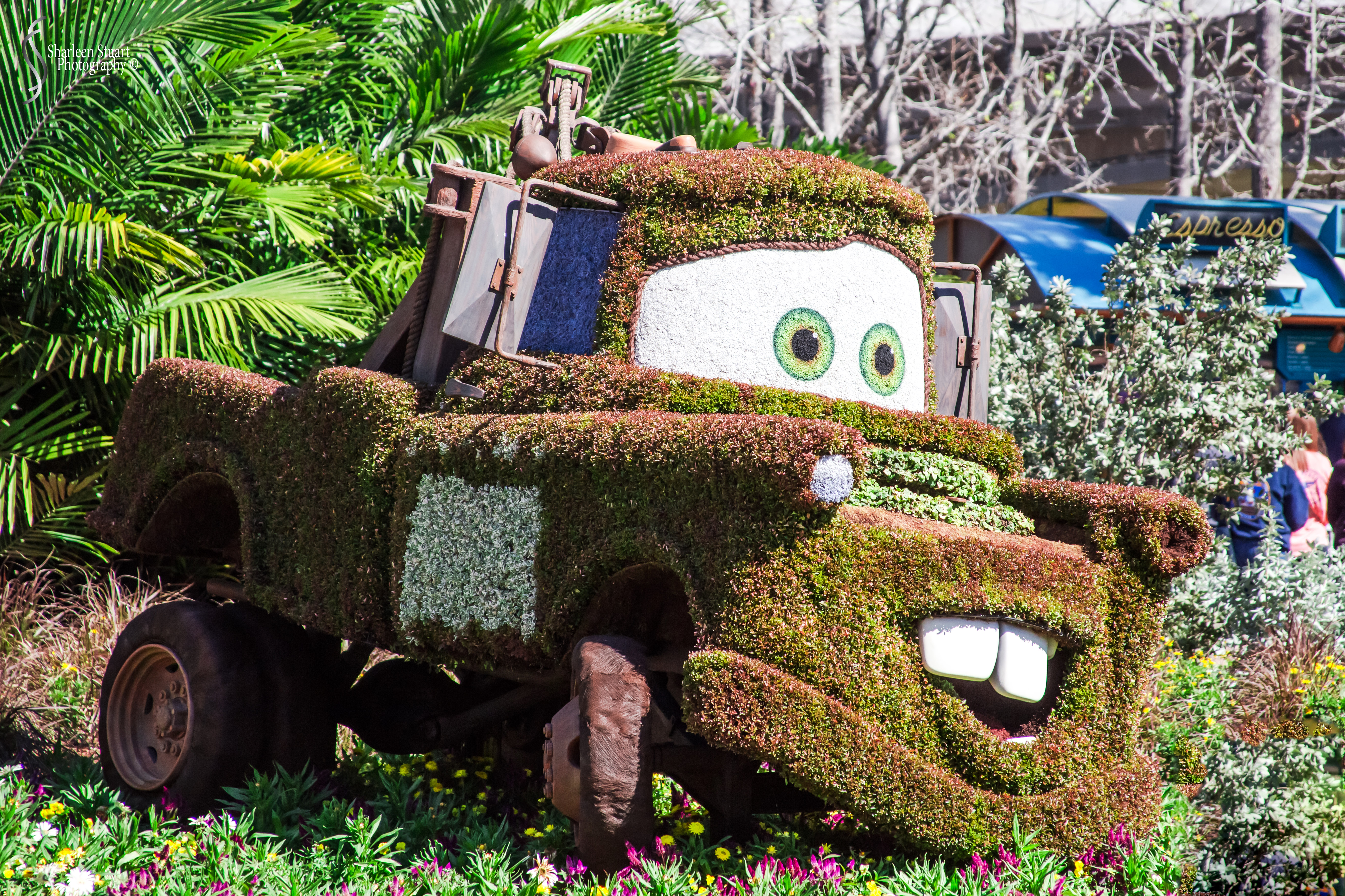 Epcot 2019: March 8, 2019: 3011