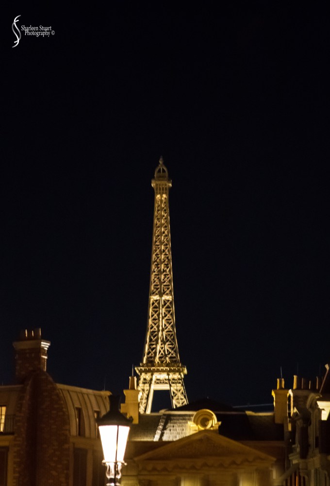 Epcot 2019:  March 8, 2019: 3147