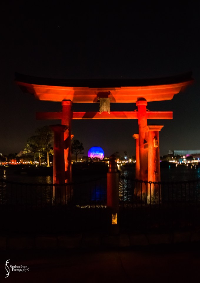 Epcot 2019:  March 8, 2019: 3165