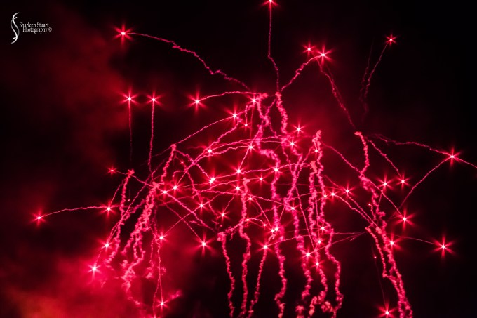 Epcot 2019:  March 8, 2019: 3213