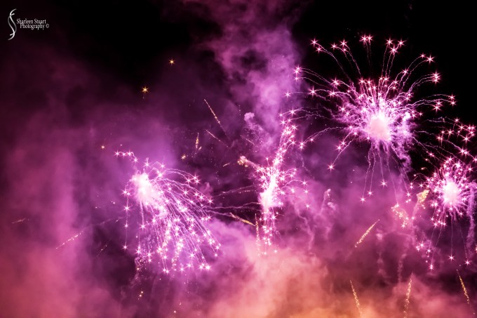 Epcot 2019:  March 8, 2019: 3227