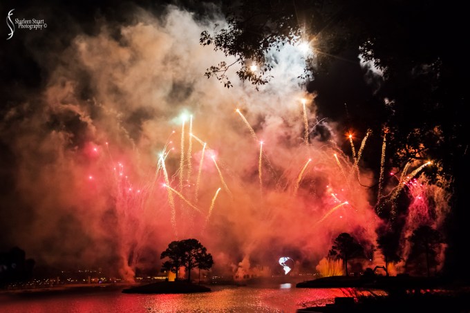 Epcot 2019:  March 8, 2019: 3268