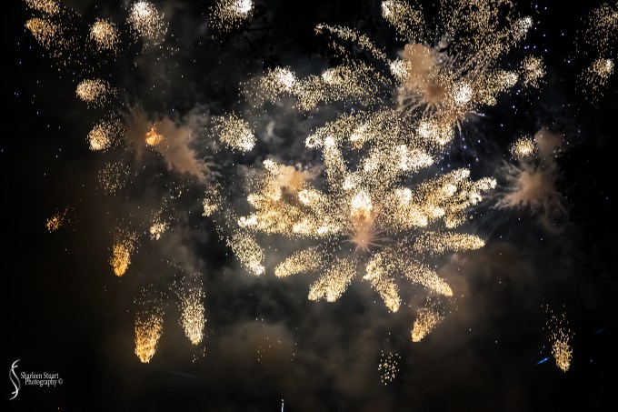 Epcot 2019:  March 8, 2019: 3337