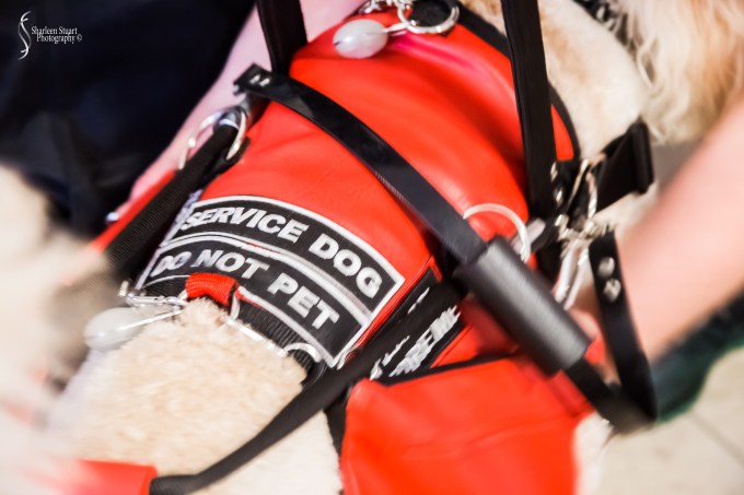 Kathryn &amp; Cody: March 29, 2019: 3612