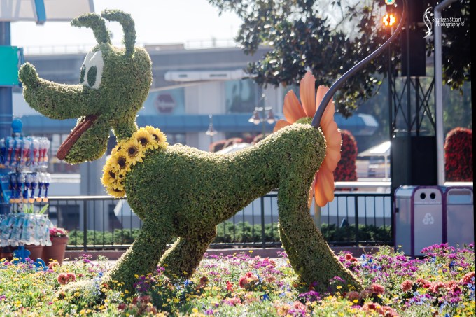 Epcot 2019:  March 8, 2019: 2925