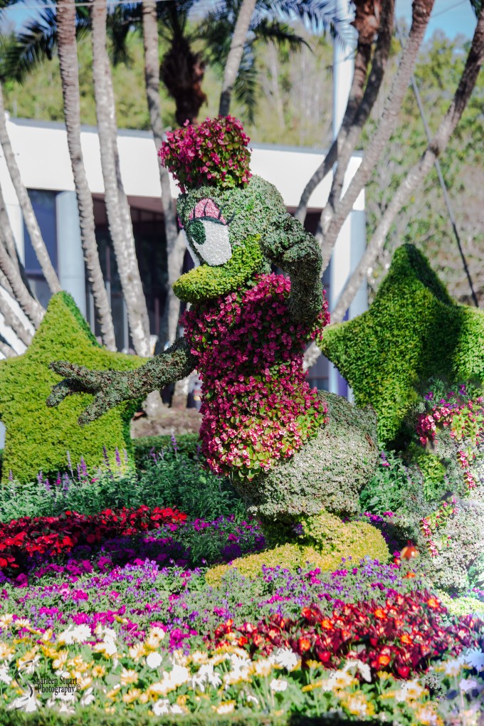 Epcot 2019:  March 8, 2019: 2933