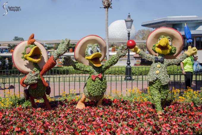 Epcot 2019:  March 8, 2019: