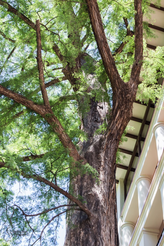 San Antonio:  April 9-13, 2019: 3843