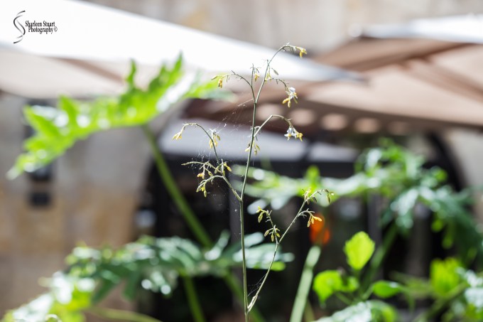 San Antonio:  April 9-13, 2019: 3854